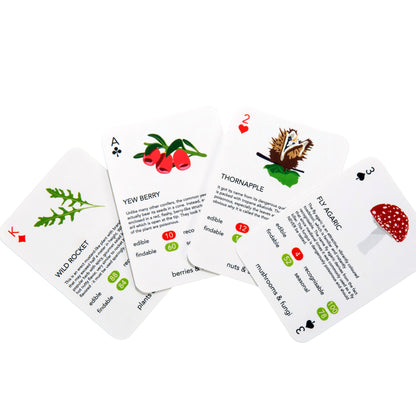 Forager Playing Cards | Learn Wild Plants Through Play