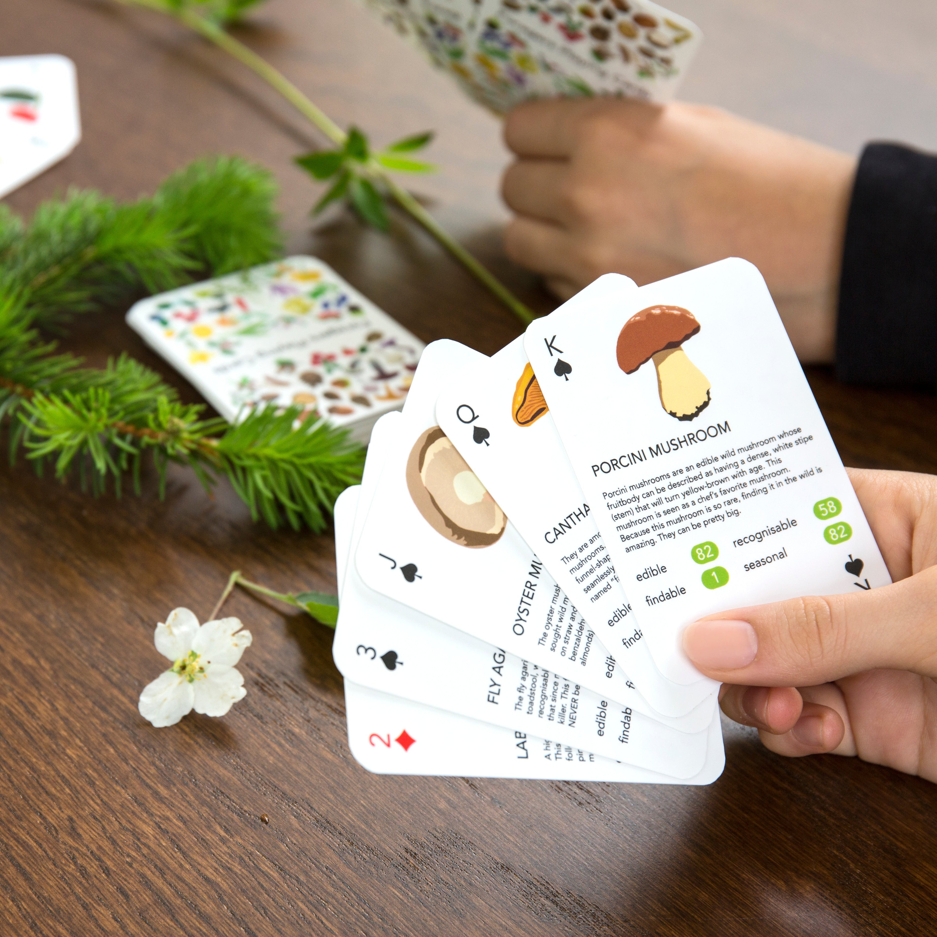 Forager Playing Cards | Learn Wild Plants Through Play