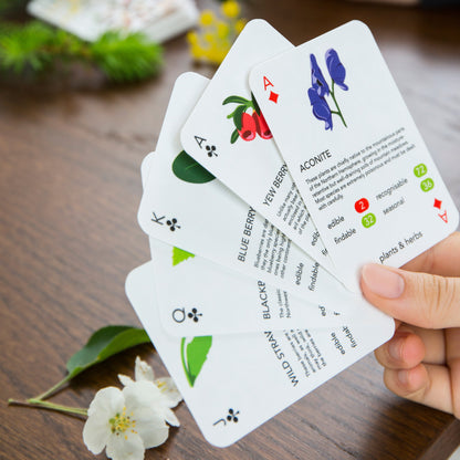Forager Playing Cards | Learn Wild Plants Through Play