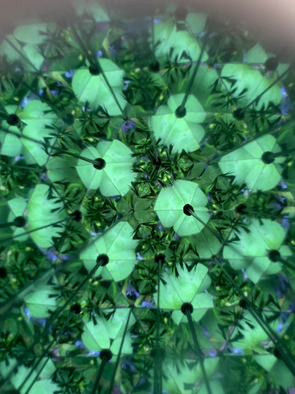 Huckleberry Kaleidoscope | Pocket Kaleidoscope for Outdoor Discovery