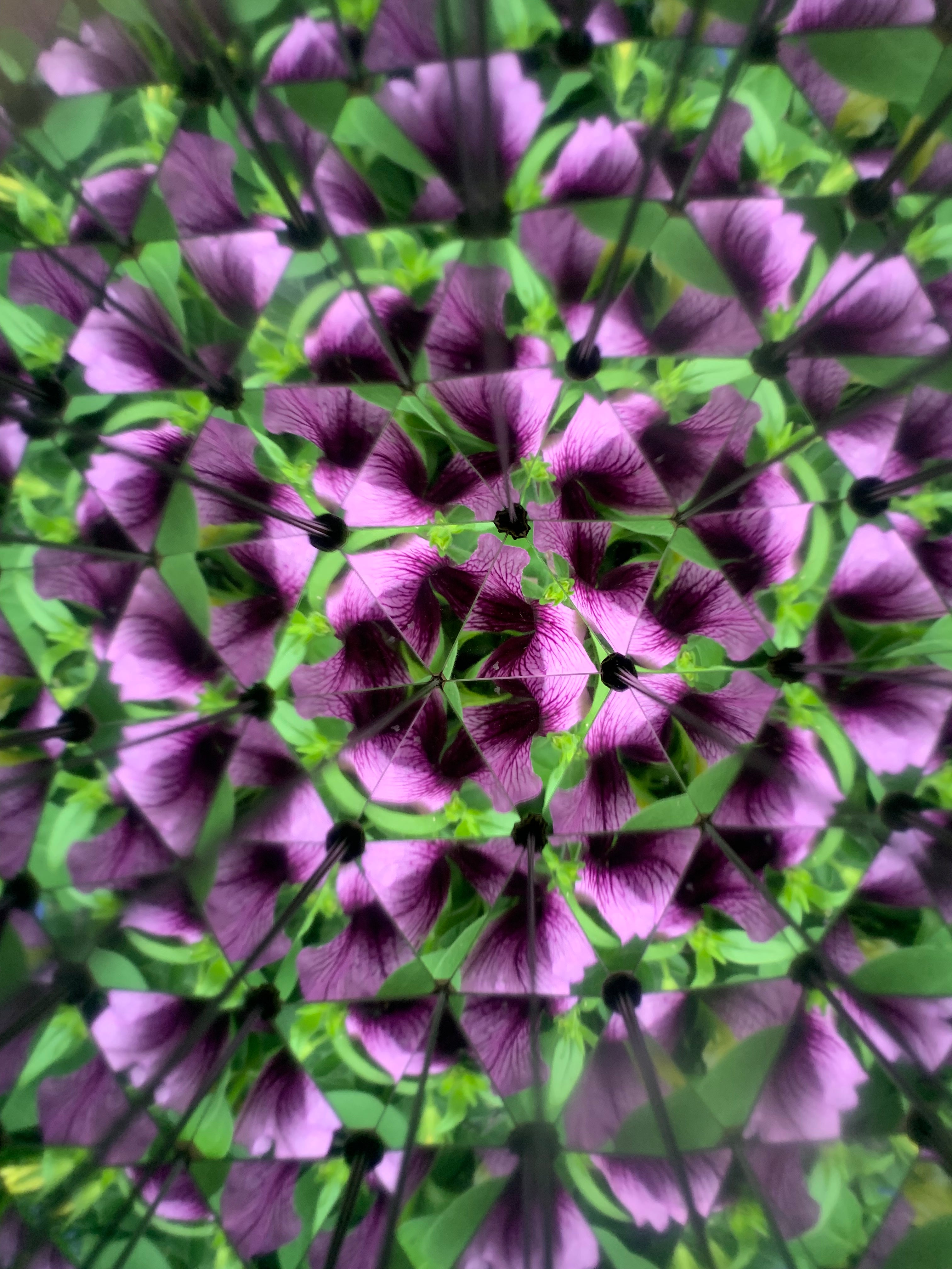 Huckleberry Kaleidoscope | Pocket Kaleidoscope for Outdoor Discovery