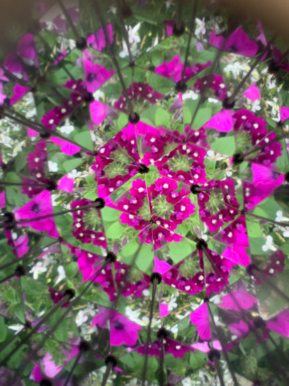 Huckleberry Kaleidoscope | Pocket Kaleidoscope for Outdoor Discovery