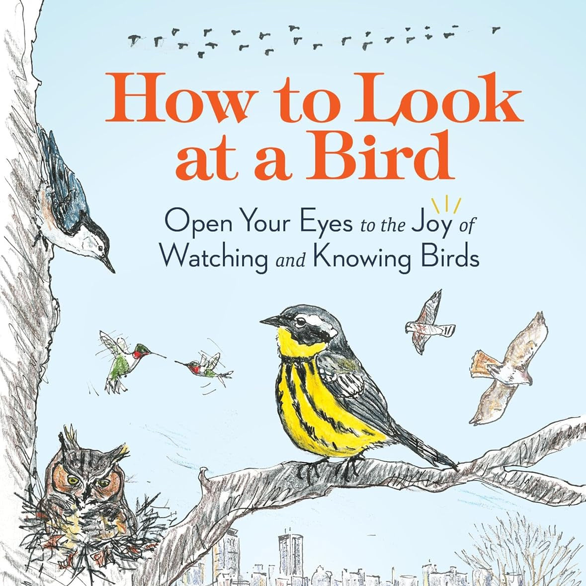 How to Look at a Bird: Open Your Eyes to the Joy of Watching and Knowing Birds