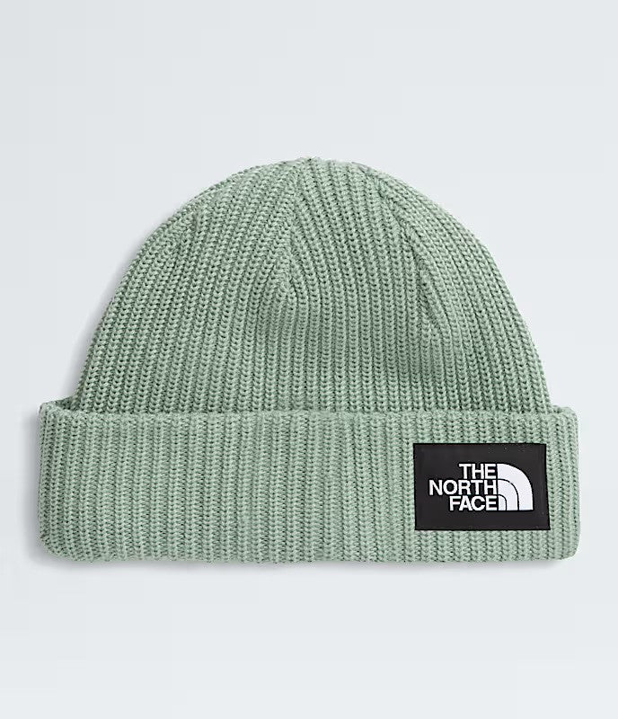 Kids Lined The North Face Salty Beanie | The North Face #color_slate-moss