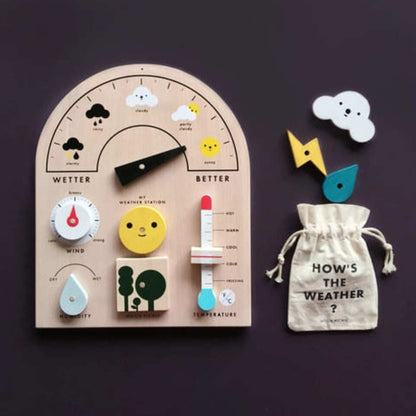 My Weather Station Educational Interactive Toy
