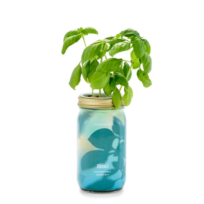 Modern Sprout Herb Garden Jar 