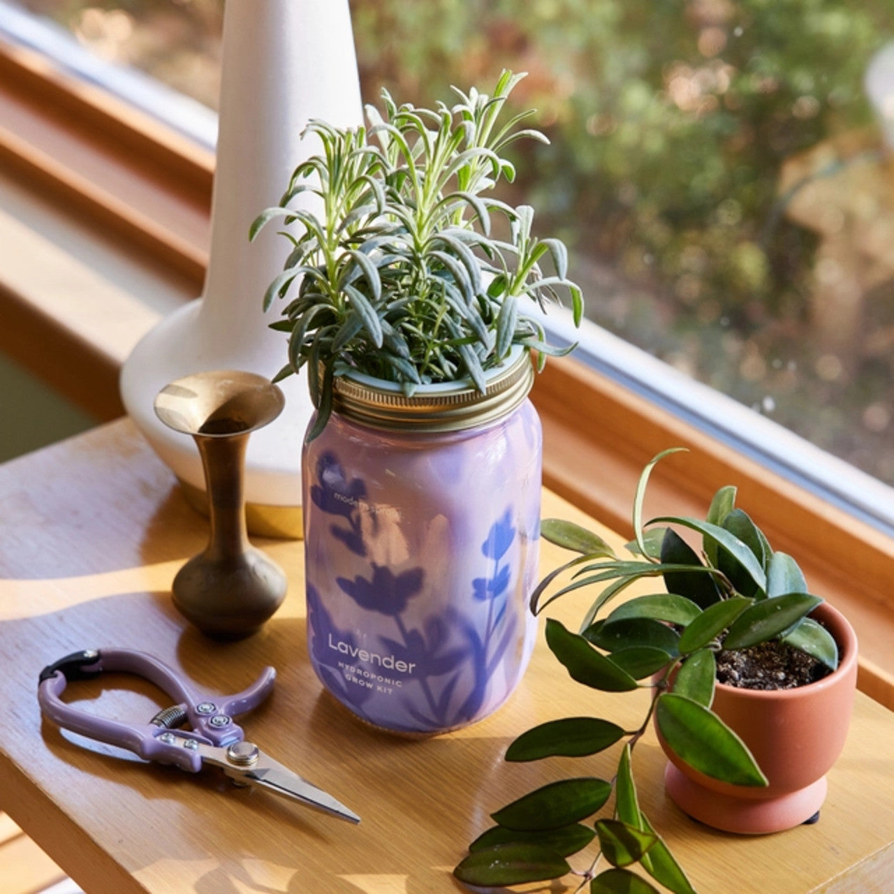 Modern Sprout Herb Garden Jar 