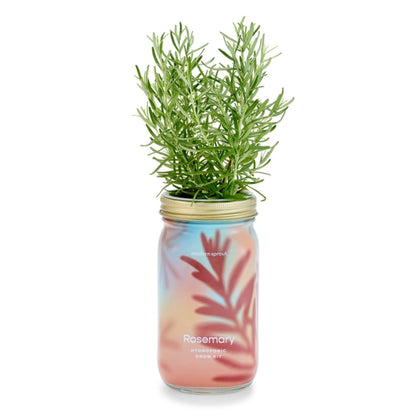 Modern Sprout Herb Garden Jar 