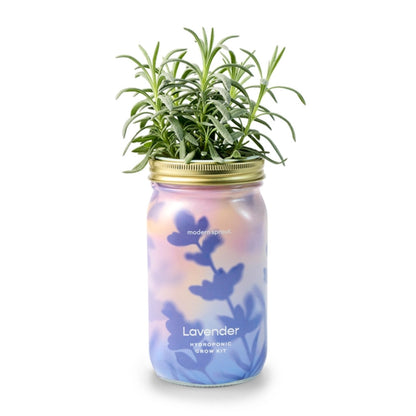 Modern Sprout Herb Garden Jar 