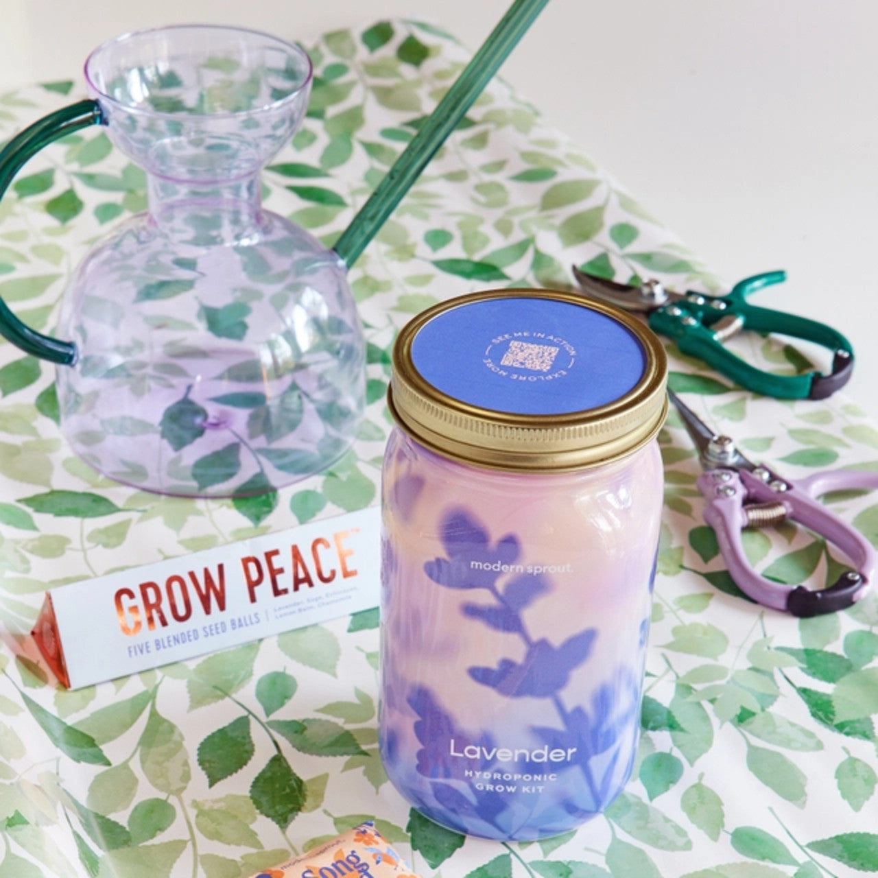 Modern Sprout Herb Garden Jar 