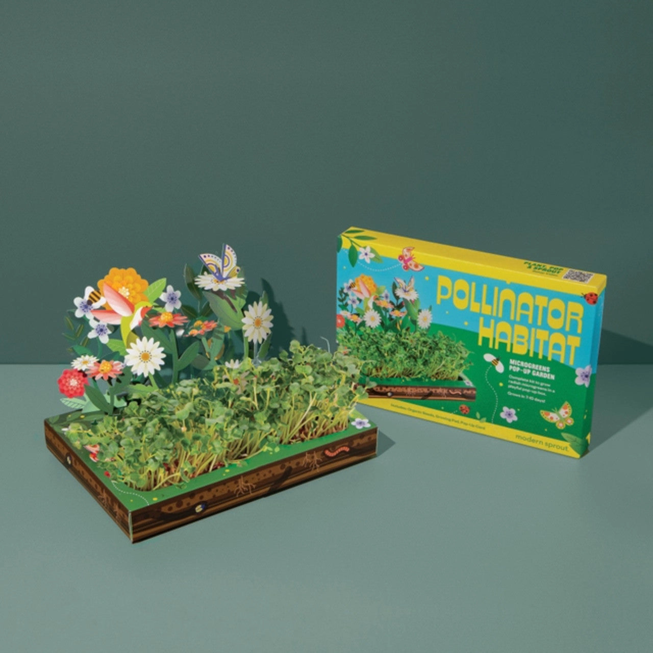 Modern Sprout Microgreen DIY Kit 