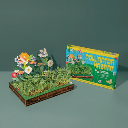 Modern Sprout Microgreen DIY Kit 