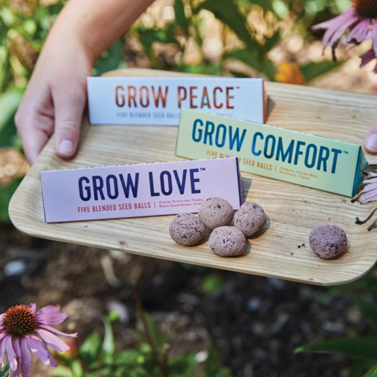 Modern Sprout Bright Side Seed Balls