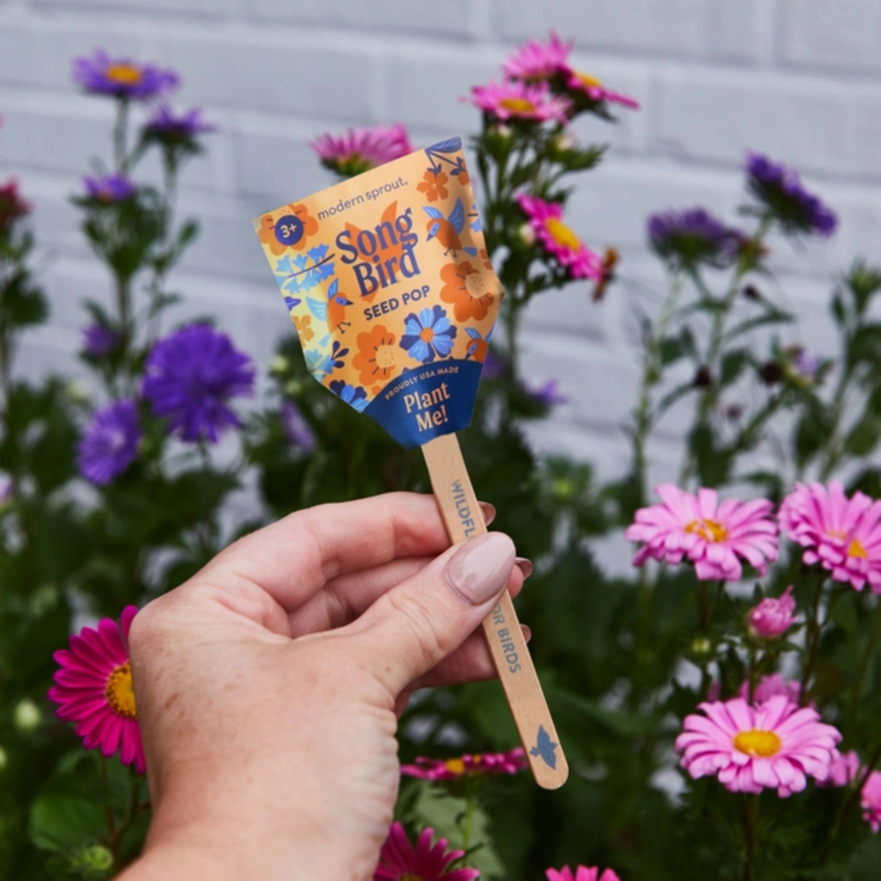 Modern Sprout Pollinator Seed Pops 