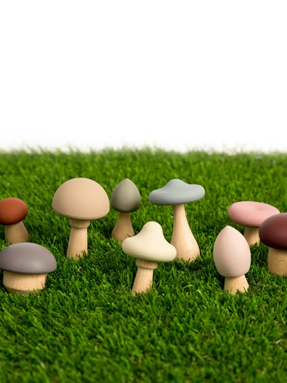 Wood + Silicone Mushroom Set
