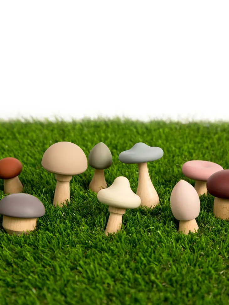Wood + Silicone Mushroom Set