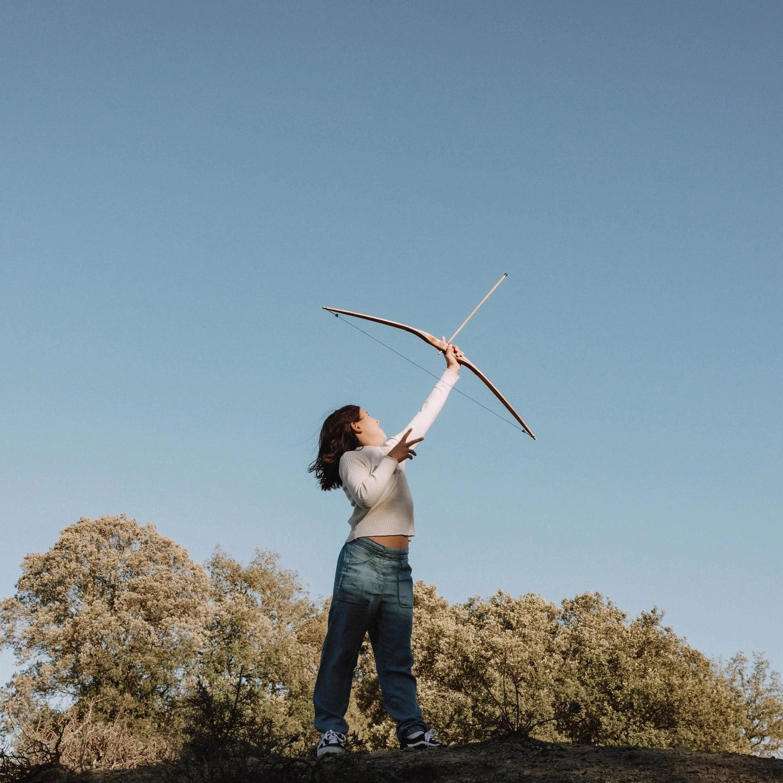 Wooden Bow and Arrows