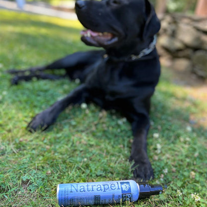 Essential Oil Insect Repellent for Pets and People | Natrapel