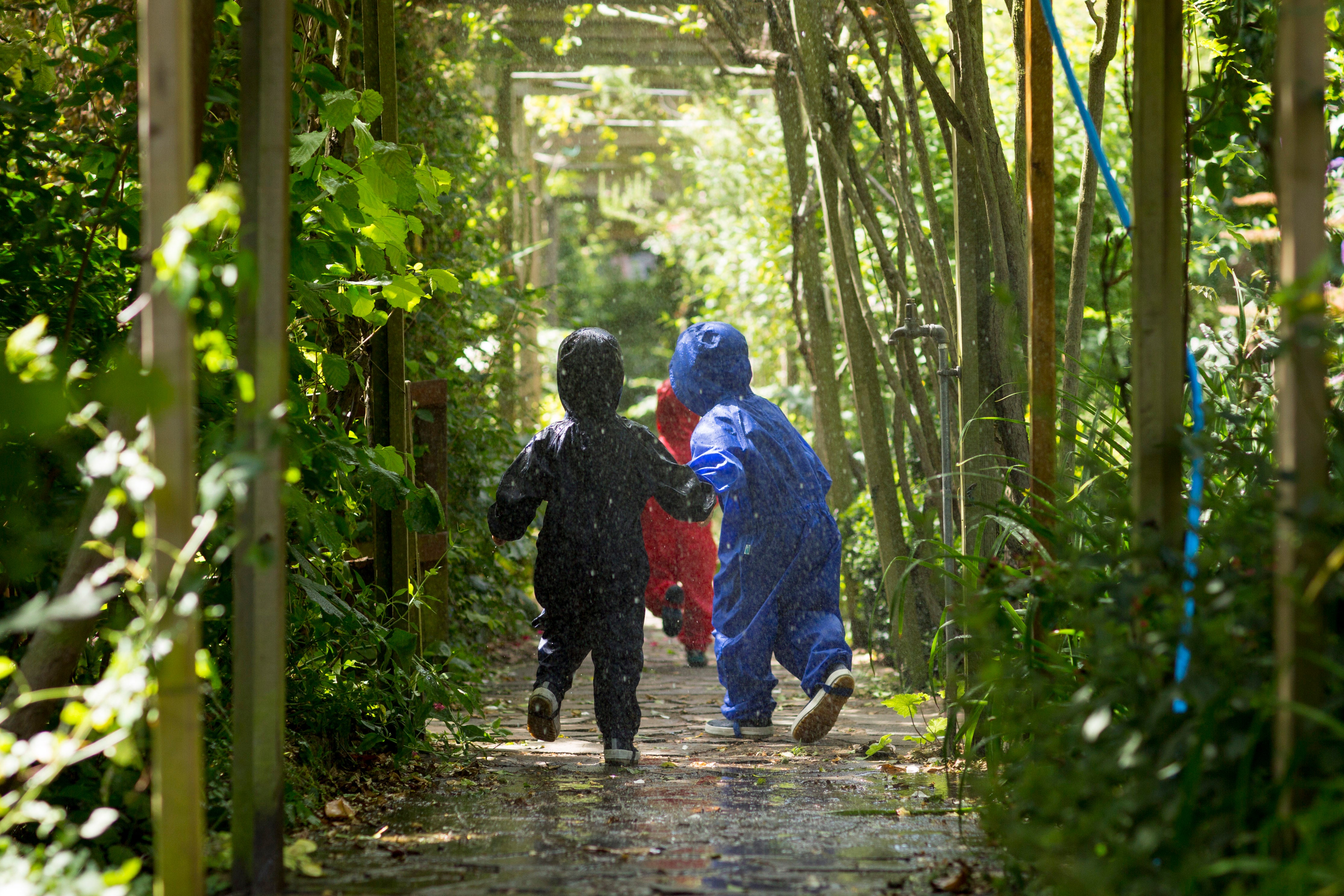Three children in raincoats walking through a tunnel of trees on a rainy day.