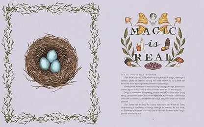 The Wheel of the Year: An Illustrated Guide to Nature's Rhythms