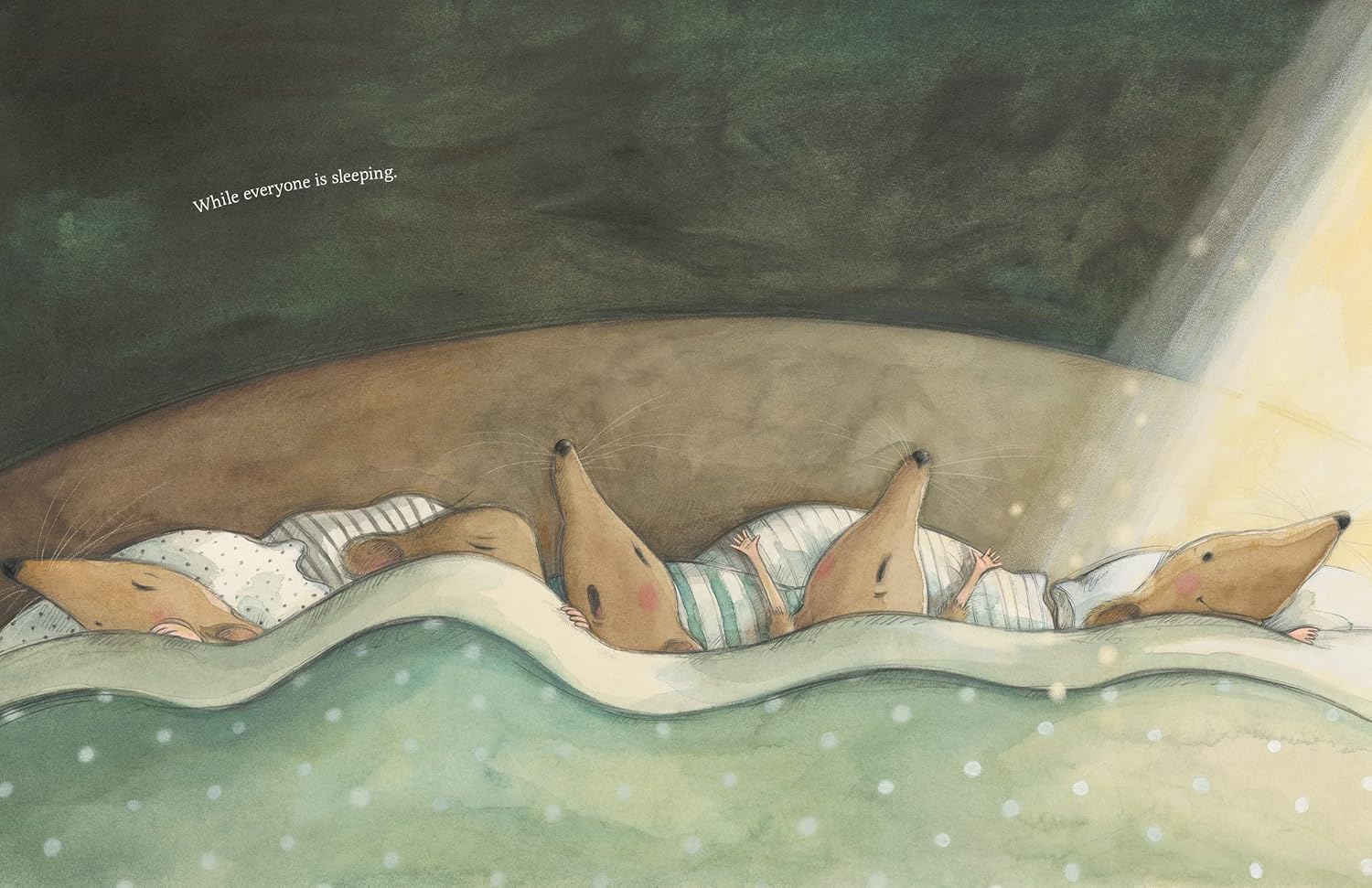 While Everyone is Sleeping